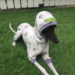 フード付きロンパース『かのん』スムースニットLサイズ イタグレ服