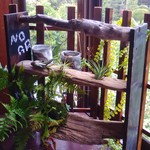 ボタニカルな暮らしに　男前な流木のシェルフ