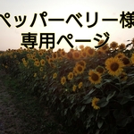ペッパーベリー様専用ページ