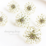 ammi majus earring