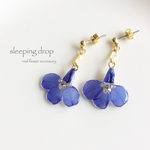  lobelia pierce