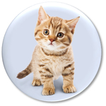 〔送料無料〕猫 ネコ 缶バッジ マグネット 1個