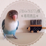 j7fb6e3fd72q様専用＊＊＊ご予約商品＊