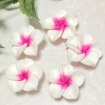 5個◆フラワーパーツ(プルメリア)◆20×8㎜