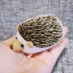 ハリネズミ