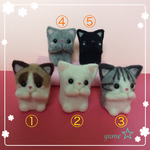 ＊ご予約品＊ムフフ♡なぽてにゃん 選べるコース