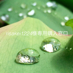 risakei1224様専用購入窓口
