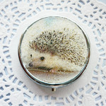 ころころころー人気上昇中のハリネズミ_ピルケース