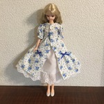 27センチドール 前開きワンピース&ペチコートセット ローズガーデン ブルー