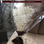 (⋈◍＞◡＜◍)。✧♡プリザーブドフラワーのカスミソウ☆花束☆ちょっとしたプレゼントに【1097473414】