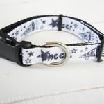 【在庫処分価格】20.5~30cm小型犬★POP★首輪