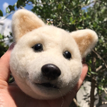 羊毛フェルト がま口   北海道犬