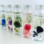 Herbarium☆スクエア☆バラ＆紫陽花☆ドライフラワー・ハーバリウム