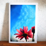ZINE「tenderly」