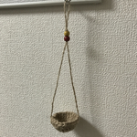 エアプランツハンガー