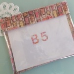 SALE20%offリバティビニコのB5クリアポーチ＊イアンローズ