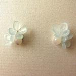 淡い水色の花とマザーオブパール