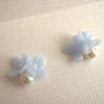 ペールブルーの花