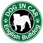 ステッカー 犬（イングリッシュブルドッグ2）防水　車用
