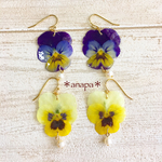 春爛漫♬ビオラピアス