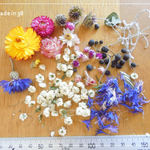 ドライフラワー 貝細工 雪柳 アイビーの実 花びら キャンドル レジン 材料