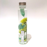 【再入荷】ハーバリウム・flowerium《スターチス・ポアプランツ》