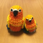 chocola-bbさま♡専用ページ:コガネメキシコインコちゃん（中型インコ）&ちっちゃ♡コガネメキシコインコちゃんペア