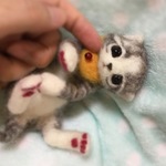 ぼっちな仔猫♥️3