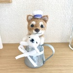 水平帽の柴犬さんとアザラシさん