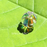 小ぶり虹玉