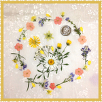 押し花＊ミックスY④