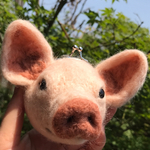 羊毛フェルト がま口 ミニブタ