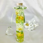 再販🌼イエローグリーンガーデン💛💚