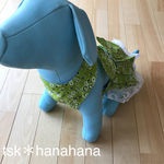 dog wear クールエプロンワンピース バンダナ柄 ライトグリーン 21