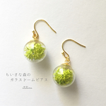 再販*ちいさな森のガラスドームピアス/イヤリング