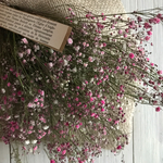 ブロッサムカラーのかすみ草 フレンチスワッグ🌷