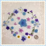 押し花＊ミックスB⑩