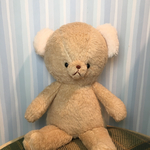 再販‼︎こぐまのヌヌース(ミルクティ)＊Sサイズ