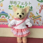 お出かけチワワちゃん(夏バージョン)