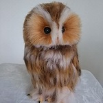 ★送料込み★羊毛フェルト製モリフクロウ