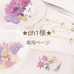  ★ch1様専用ページ★
