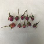 薔薇の蕾  ドライフラワー 10個