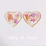 colorfulスターチス*シェルピアス