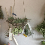 ドライフラワーのある暮らし