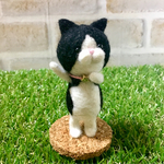 星がお守り★ハチワレさん