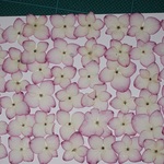 押し花商品【アジサイ　ミライ】