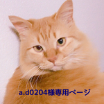 べっ甲樹脂ピアス