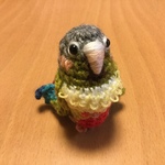 お胸が可愛い♡ウロコインコちゃん・シナモン（中型インコ）