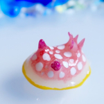 ウミウシピンバッジ （サラサウミウシ）