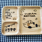 再入荷★仕切り角プレートセット